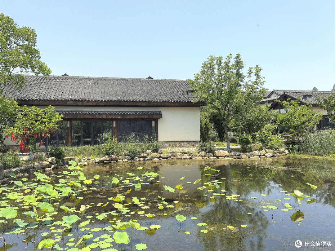 礼佛九华山麓·我的开元颐居酒店初体验