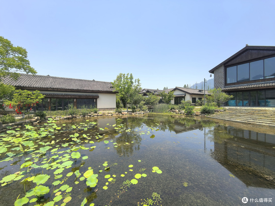 礼佛九华山麓·我的开元颐居酒店初体验