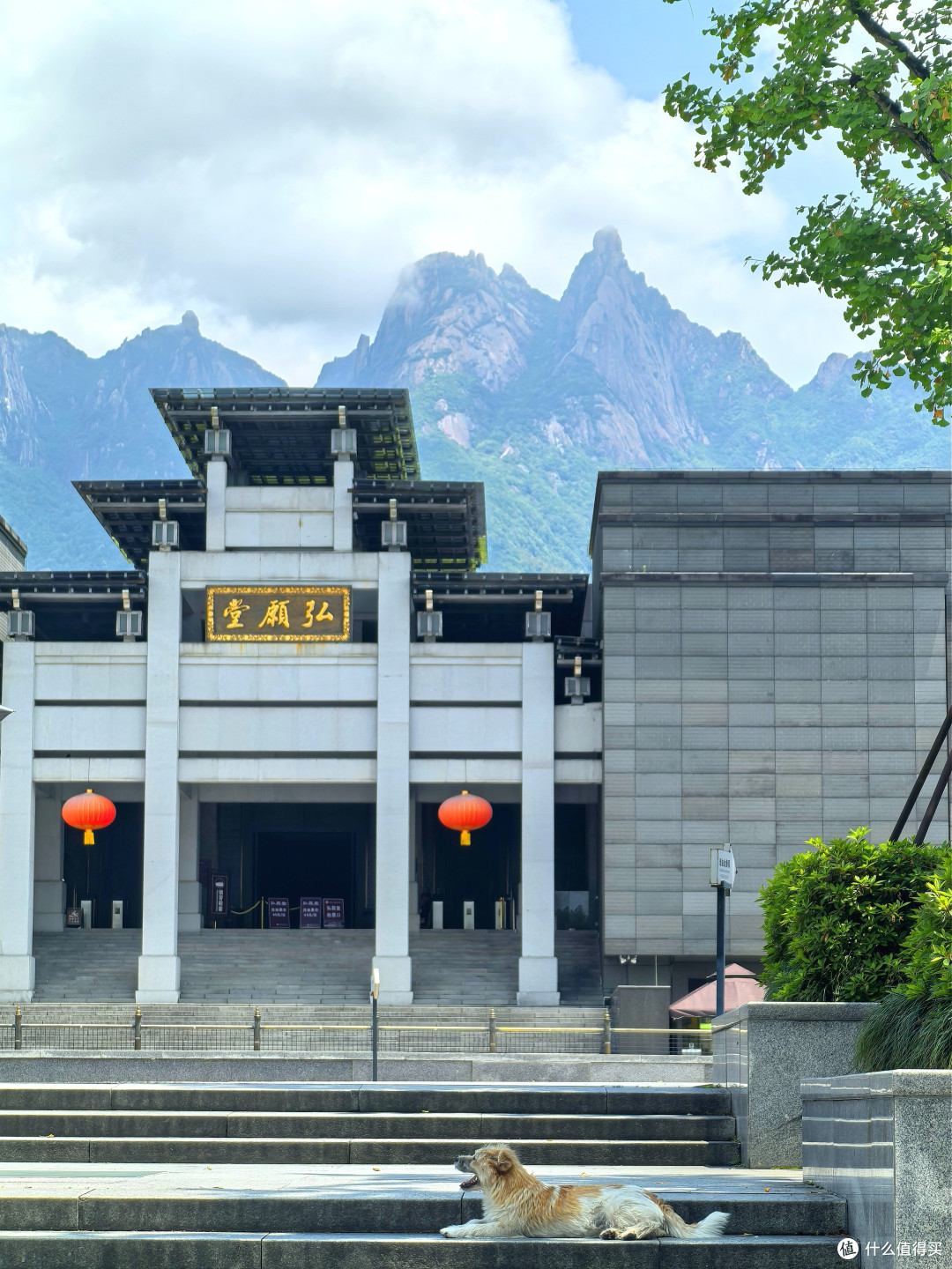 礼佛九华山麓·我的开元颐居酒店初体验