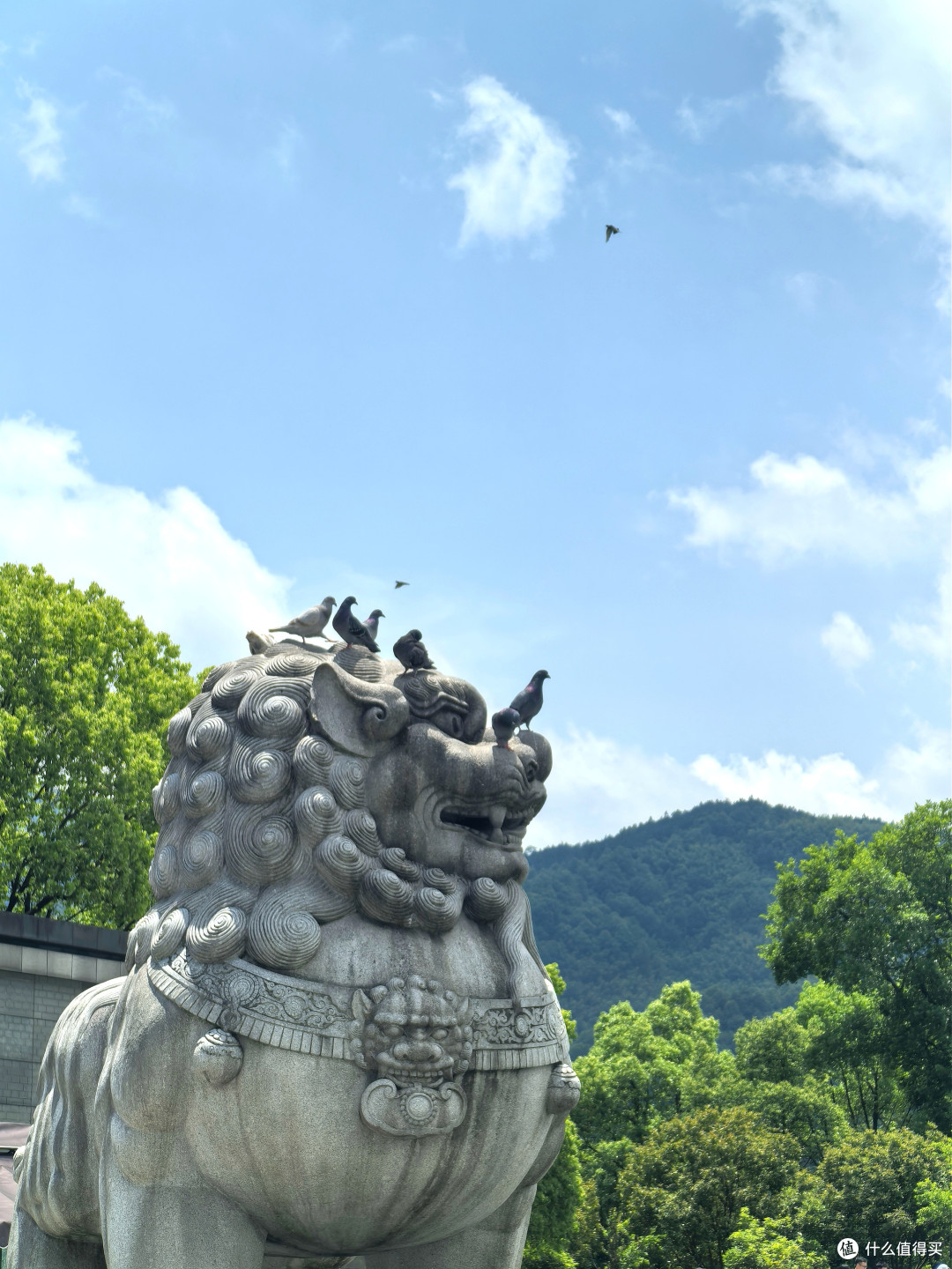 礼佛九华山麓·我的开元颐居酒店初体验