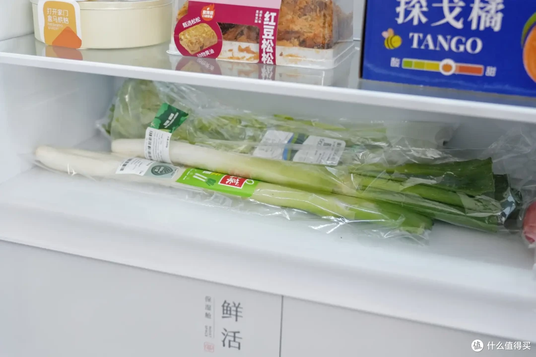 什么是双系三循环?-40℃深冻是不是噱头?618冰箱到底怎么选?