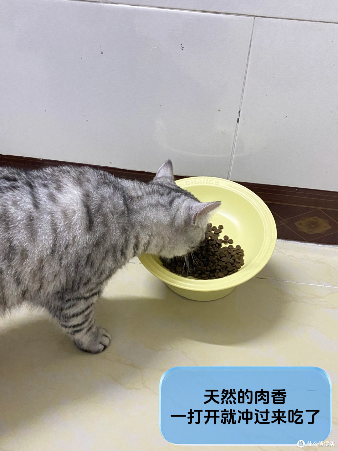 分享!挑食怪猫猫也爱的猫粮!🐱