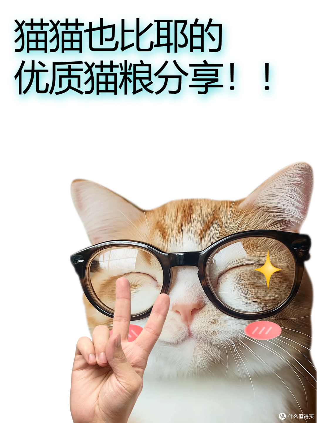 分享!挑食怪猫猫也爱的猫粮!🐱
