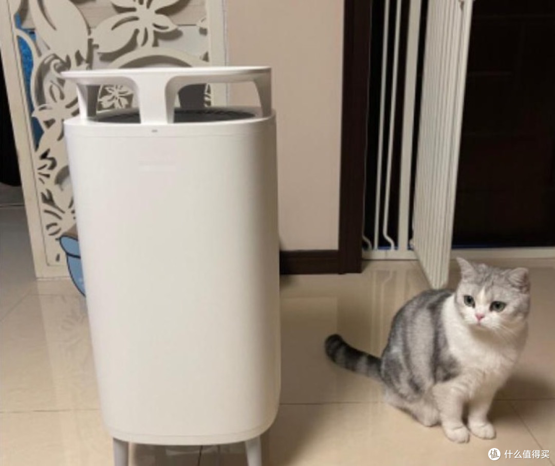 宠物空气净化器哪个牌子好?附选购攻略