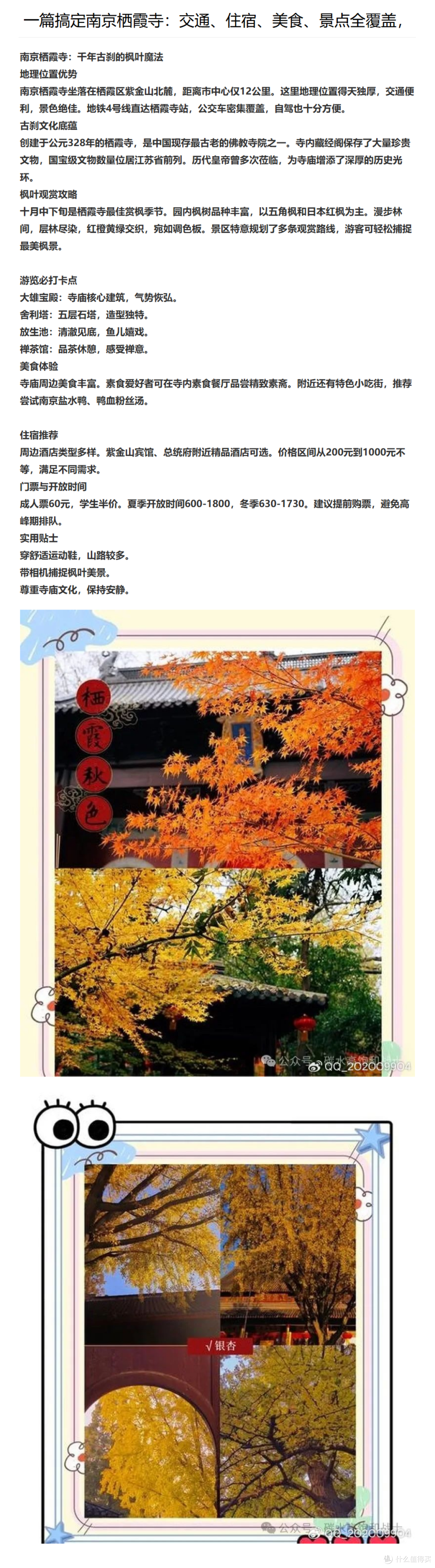南京栖霞寺:交通、住宿、美食、景点全覆盖,赏枫与古刹游览攻略