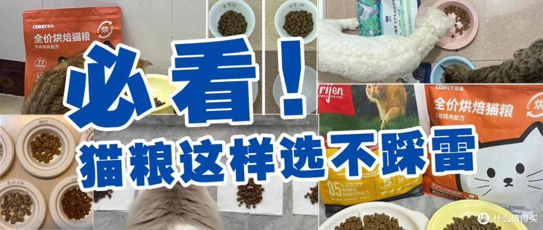 全价猫粮哪家好?又便宜又好的猫粮排名前十推荐