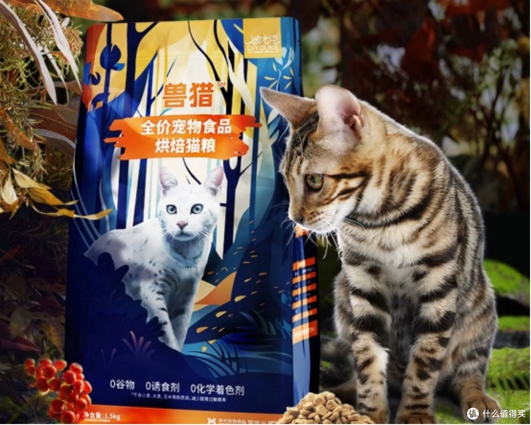 新手养猫的第一款猫粮怎么选?性价比高的猫粮排行榜前10推荐