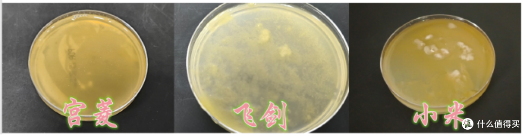 宫菱、飞剑、小米保温杯如何选？哪个牌子好？测评对决PK谁是卷王