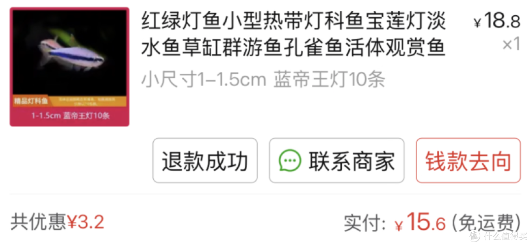 鱼缸折腾,网上买鱼会更皮实?买了10条灯鱼测试