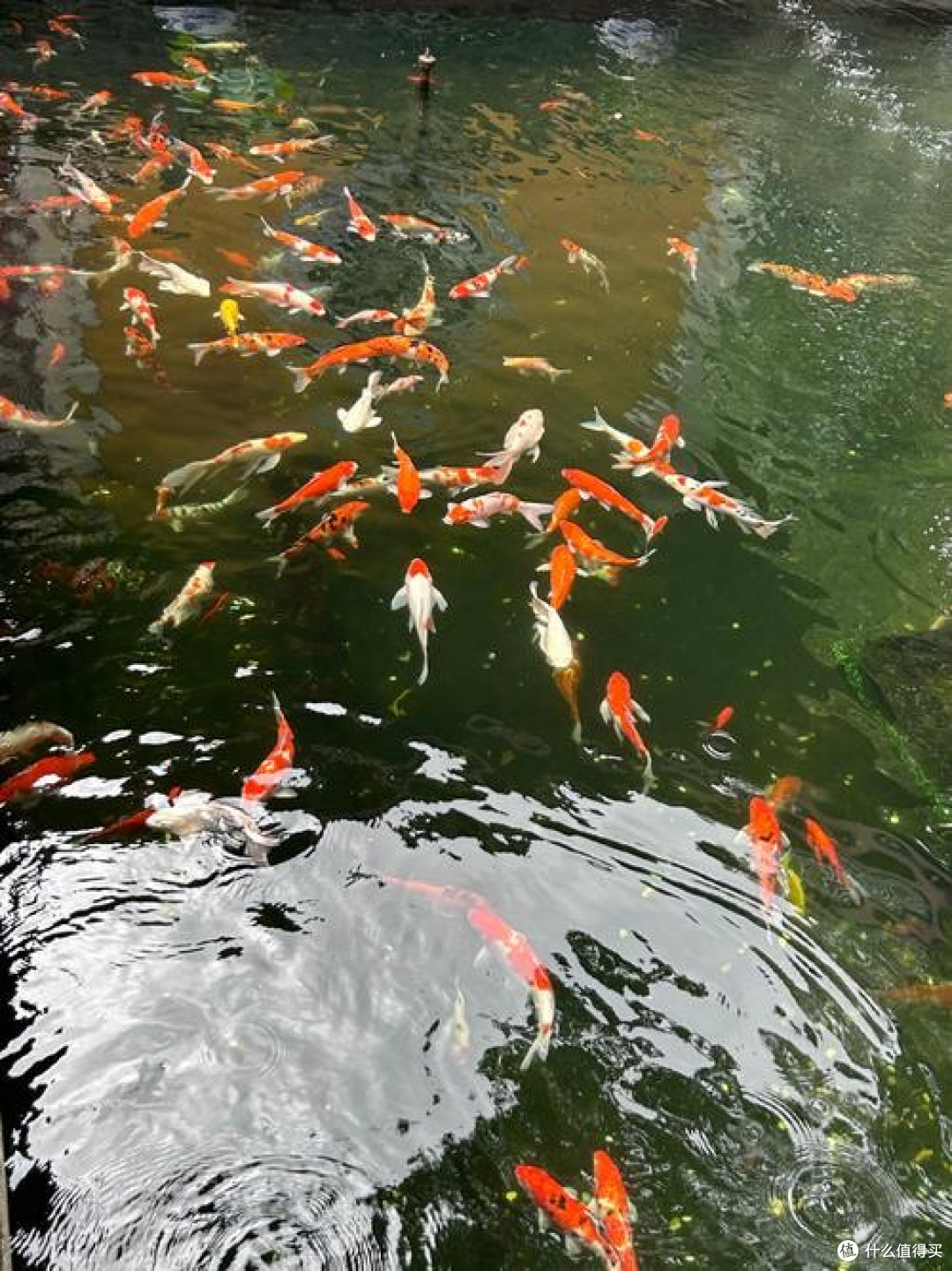 Steam热销榜，谁主沉浮？