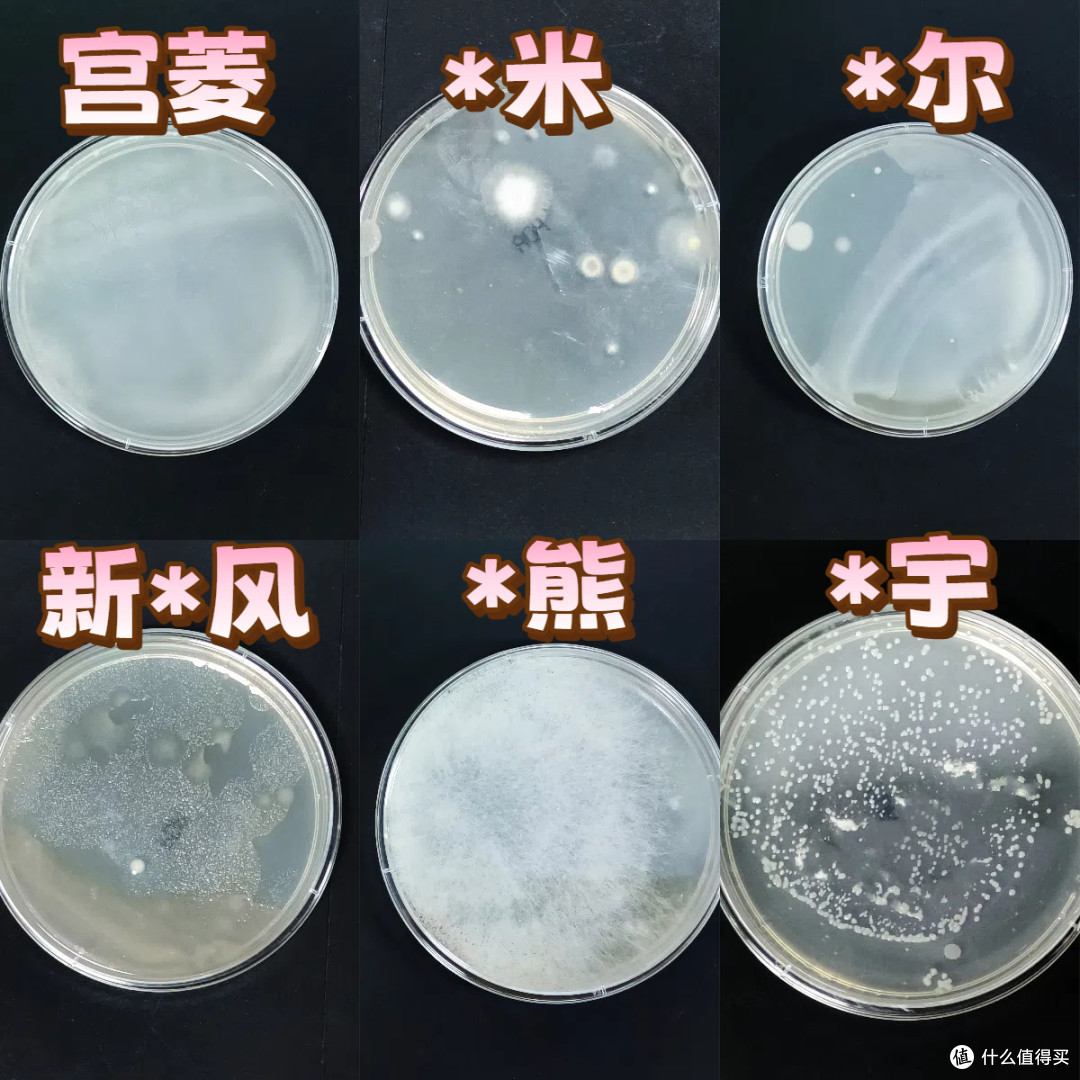 宫菱FXGonne加湿器是真的有那么好吗？多维度测评结果抢先看！