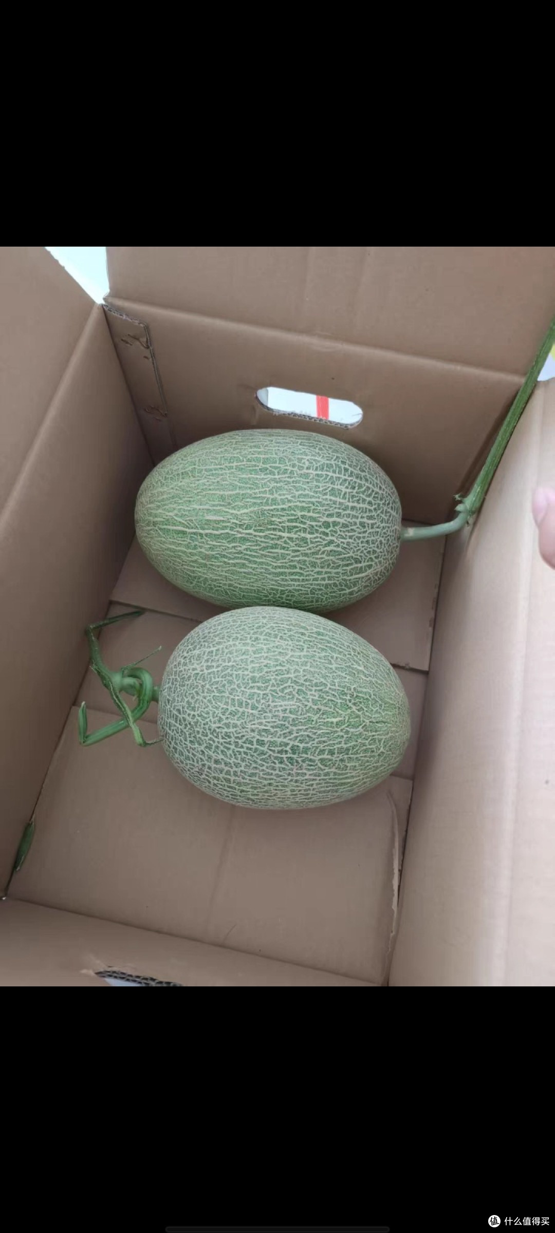 海南哈密瓜生鲜美味装评测