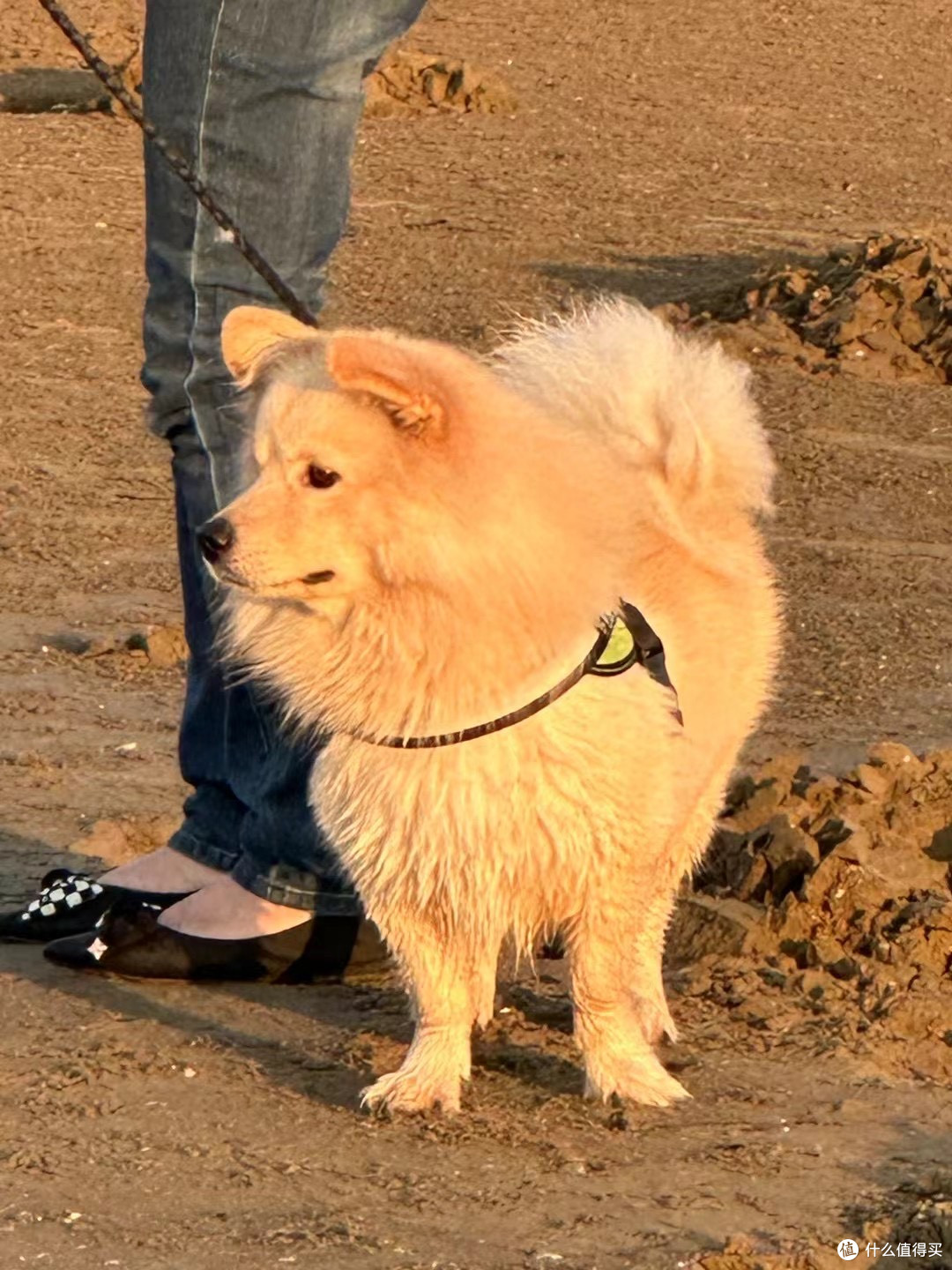 自驾游去海边赶海！很快乐！