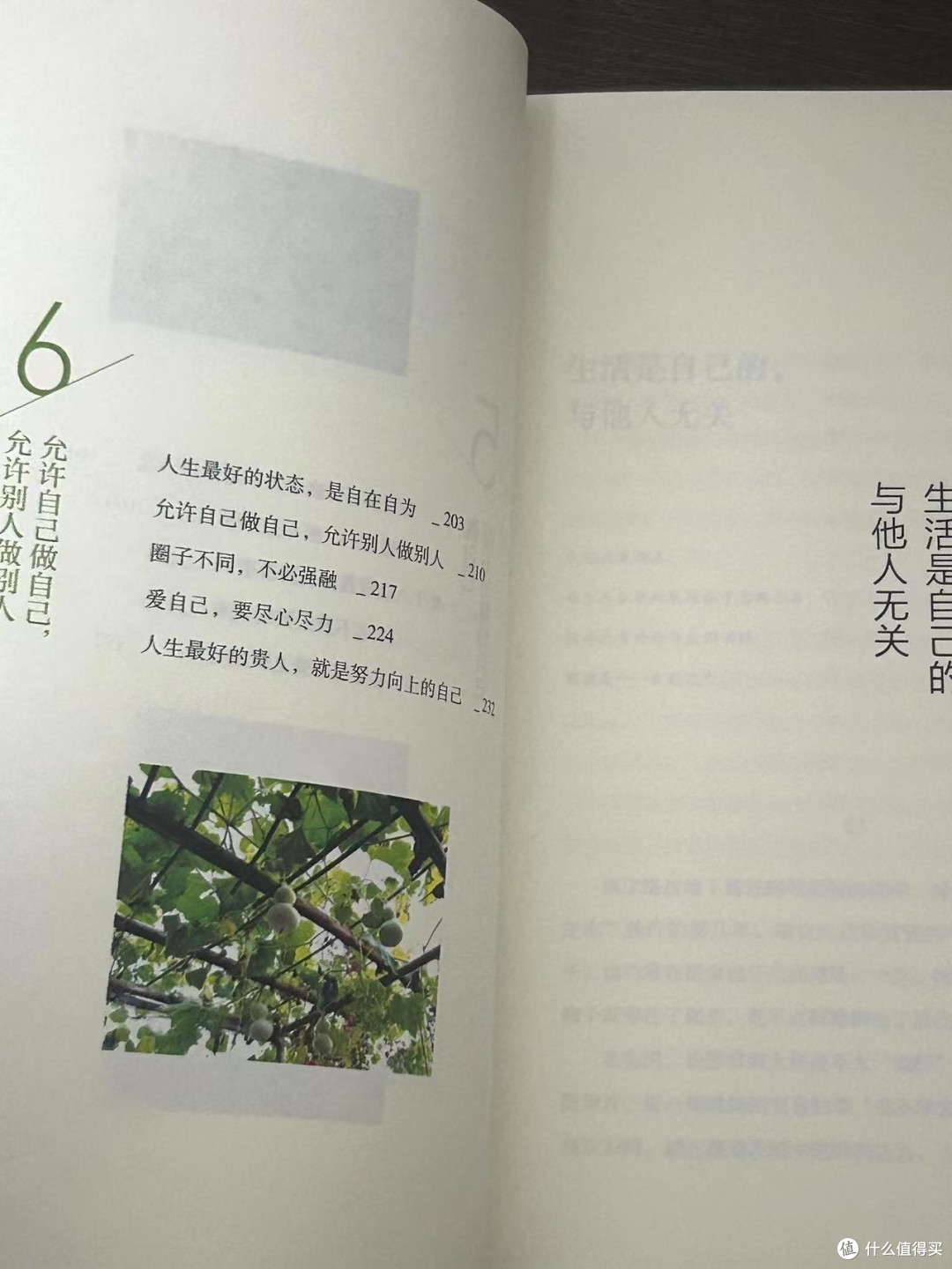 “太阳照常升起,而我们拥有自己。”