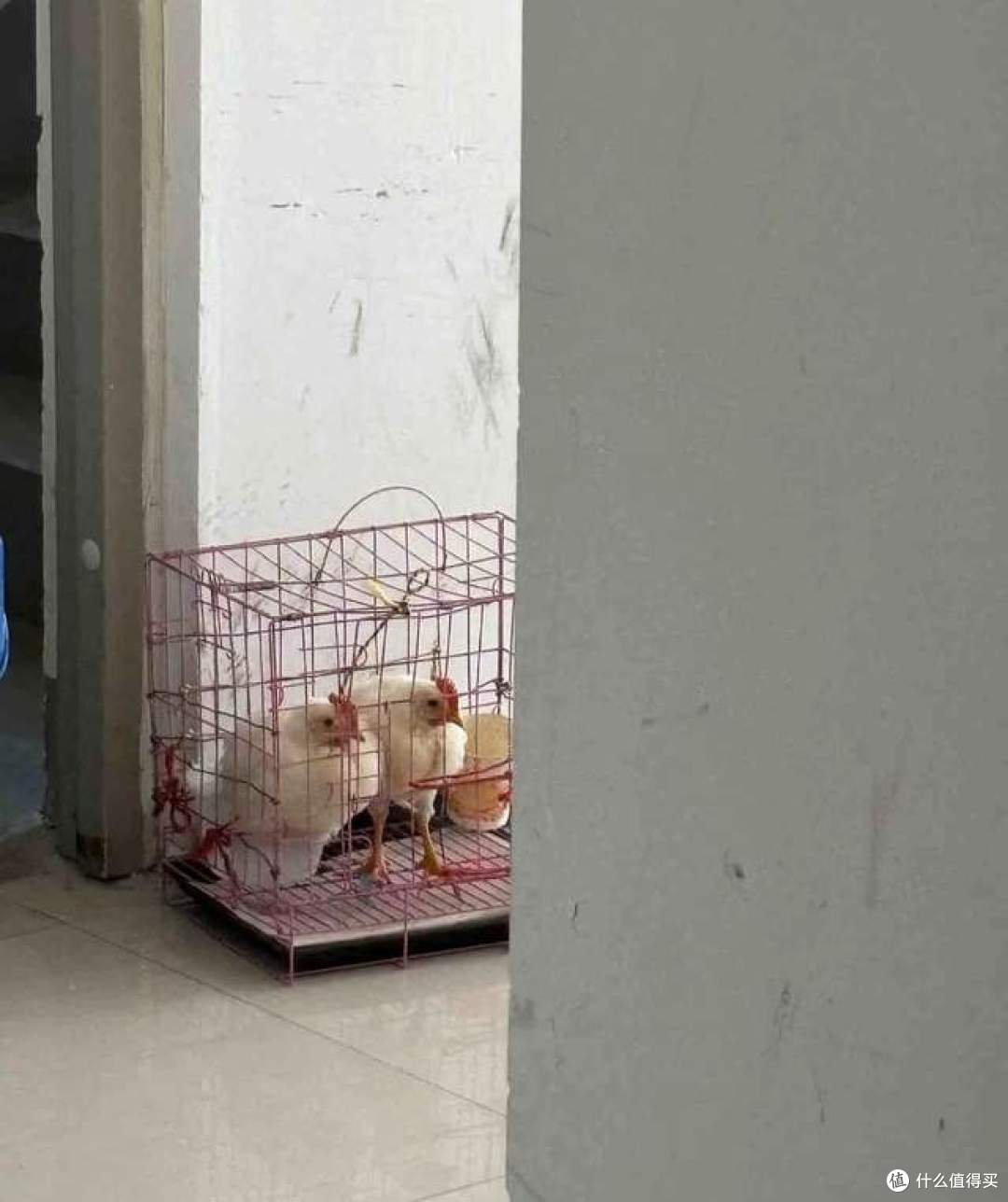 为什么越来越多人搬离“两梯四户”,入住2年,我来说说真心话!