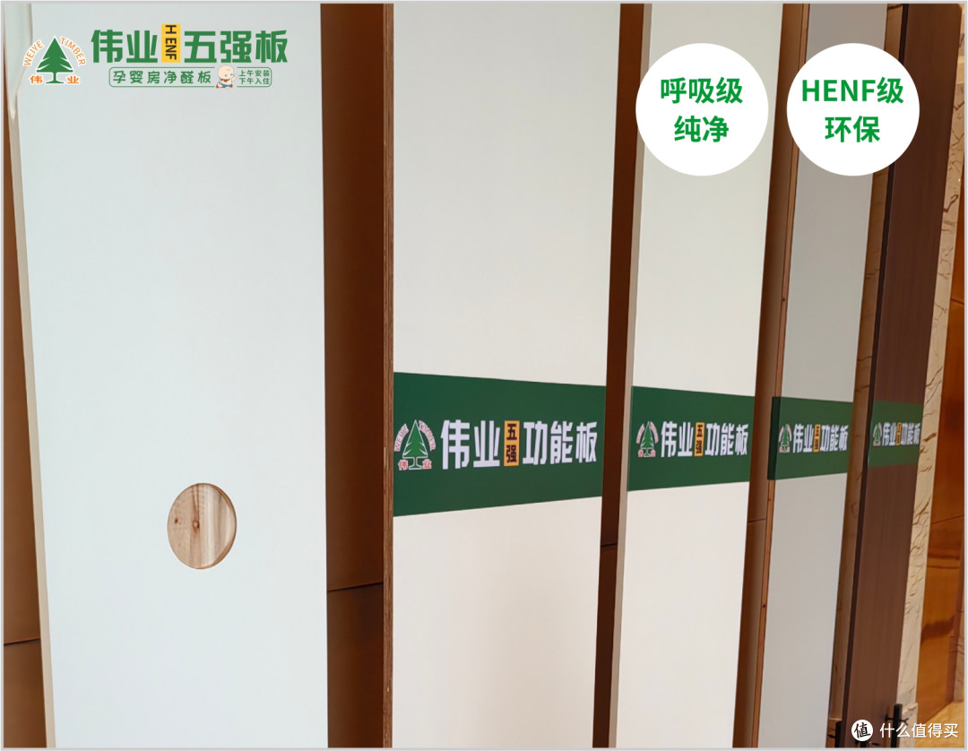 上午装下午住!伟业五强板无机生态胶让你安心住新家!
