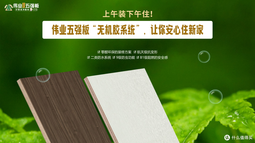上午装下午住!伟业五强板无机生态胶让你安心住新家!