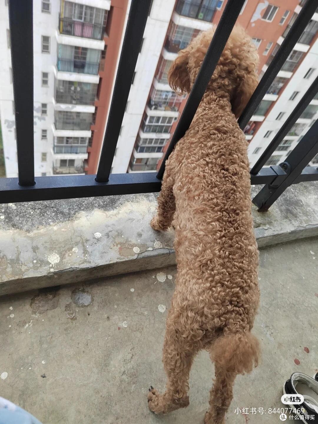 “阳台4不放,家旺人也旺”,无论阳台多大,这4样东西都别放阳台