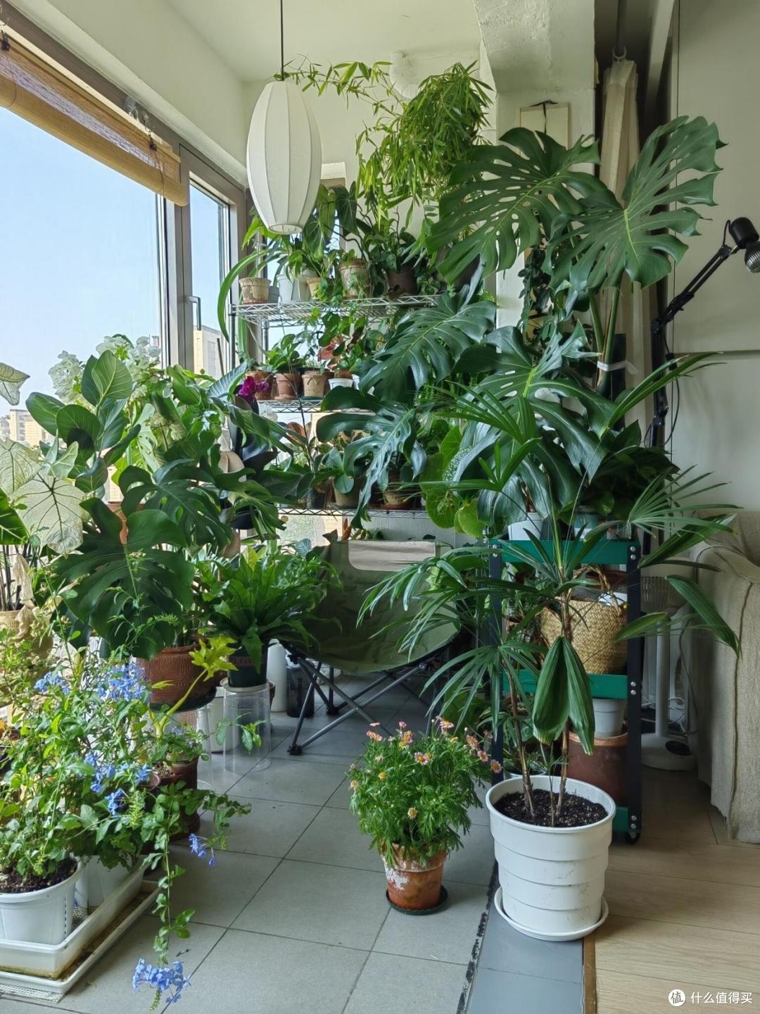 “阳台4不放,家旺人也旺”,无论阳台多大,这4样东西都别放阳台
