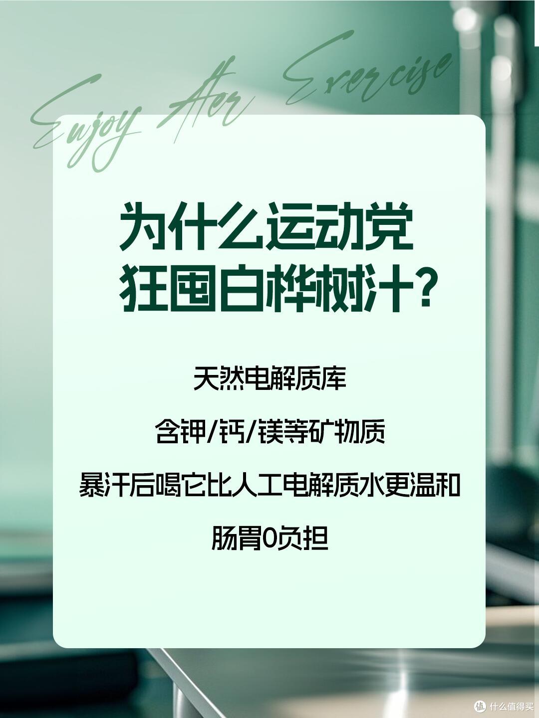 颠覆认知的森林系饮品：NFC鲜榨白桦树汁，一口喝进整片白桦林