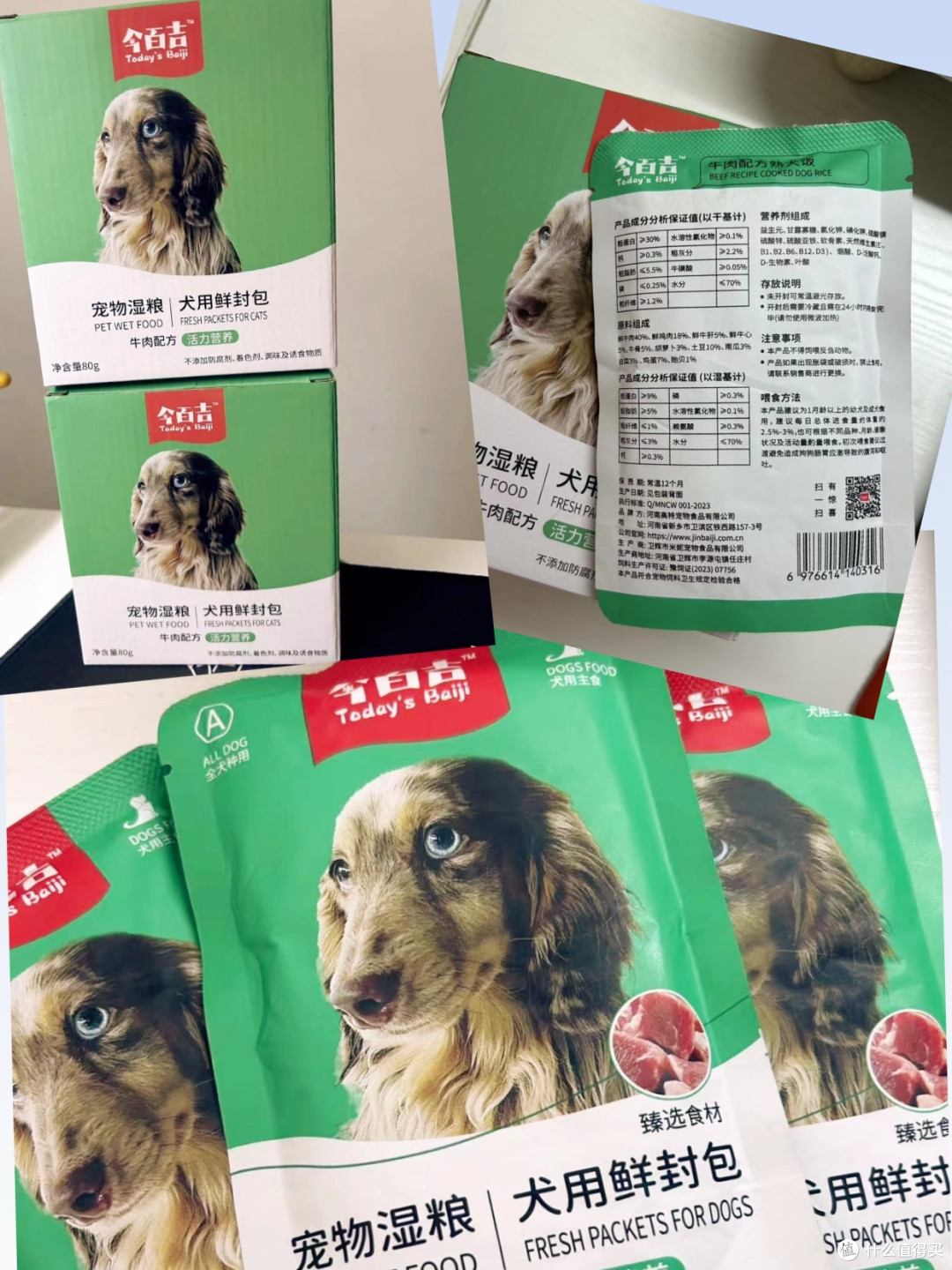 你家柯基到底爱吃哪一款狗粮?