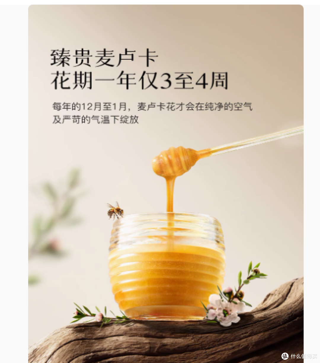 蜜兰达新西兰进口麦卢卡蜂蜜礼盒：自然馈赠的甜蜜呵护