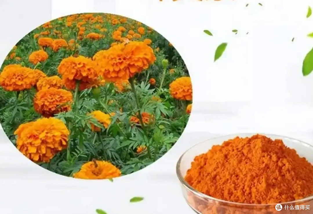 怕近视吃叶黄素?谣言!近视防控需看这4点!