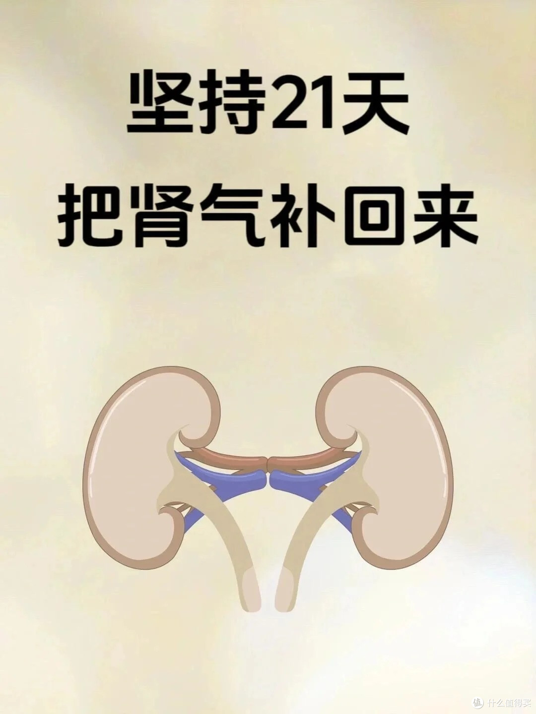 肾为先天之本,坚持21天,把肾气全补回来!