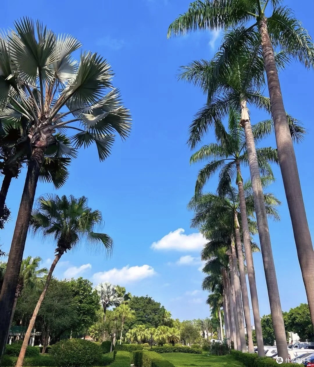 洗碗机：厨房新宠，值得拥有