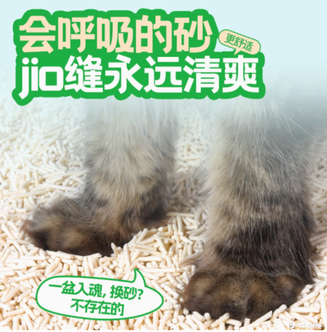 佰瑞迪奶香绿茶纯豆腐猫砂——让猫咪的“厕所”焕然一新