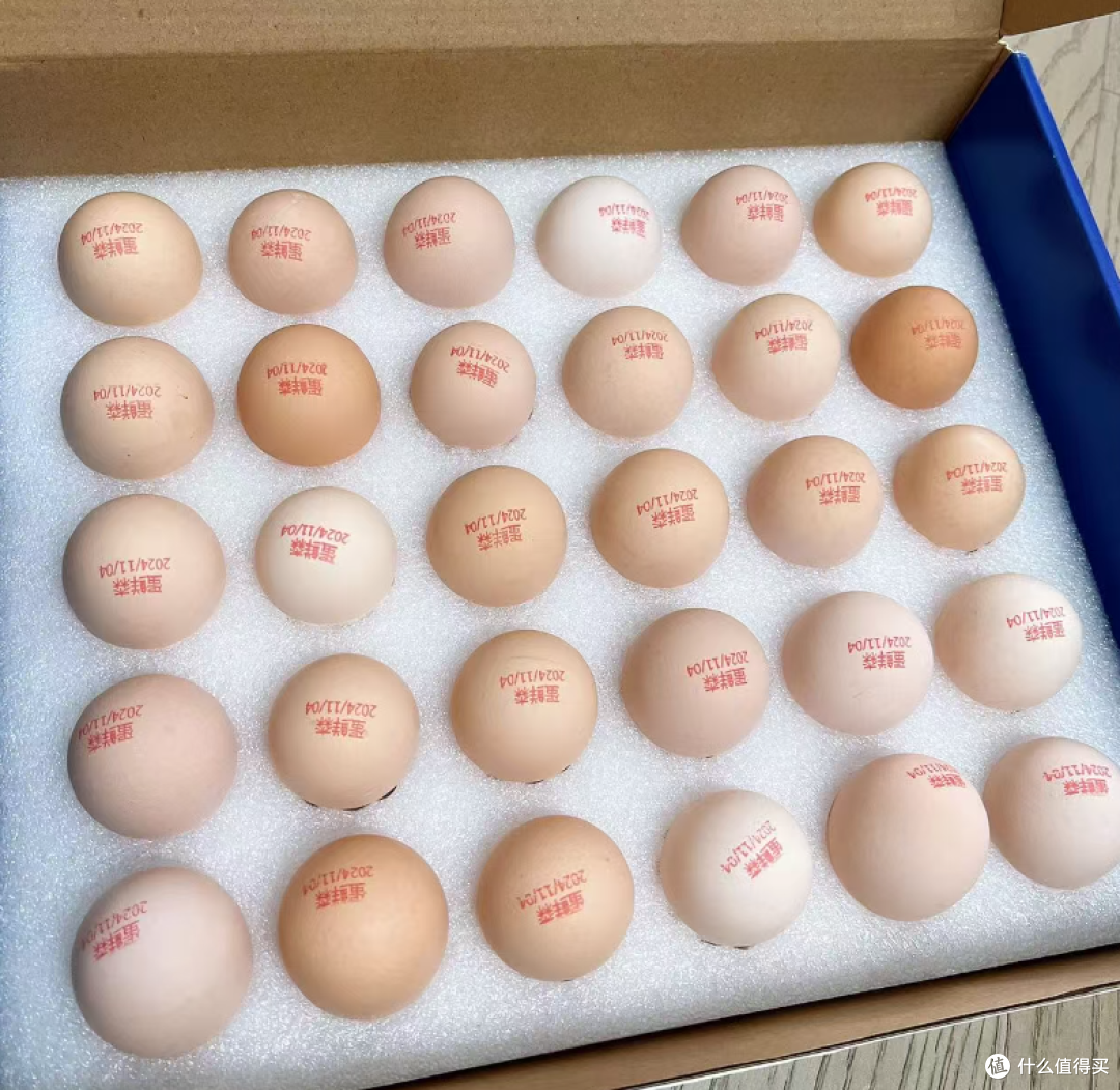 邂逅蛋鲜森,开启健康美味新体验
