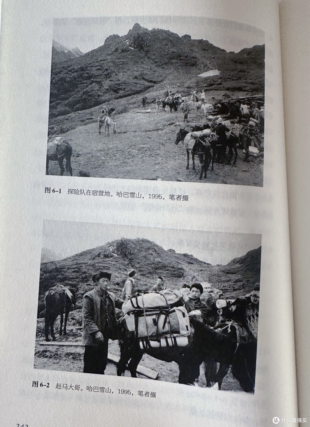这本禁术百科全书居然能出版？国产剧里的“情蛊”真的存在吗？