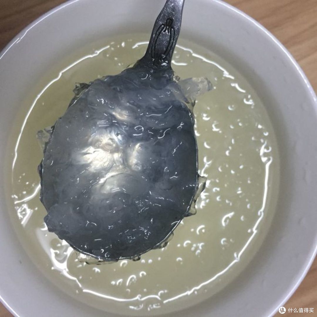 炖燕窝放什么材料一起炖最好?行家告诉你最佳搭配!