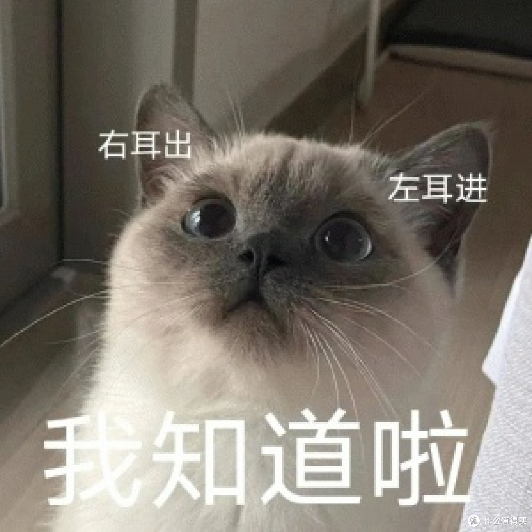 电压力锅哪个牌子好?十款品牌全面测评分享,助力选购!
