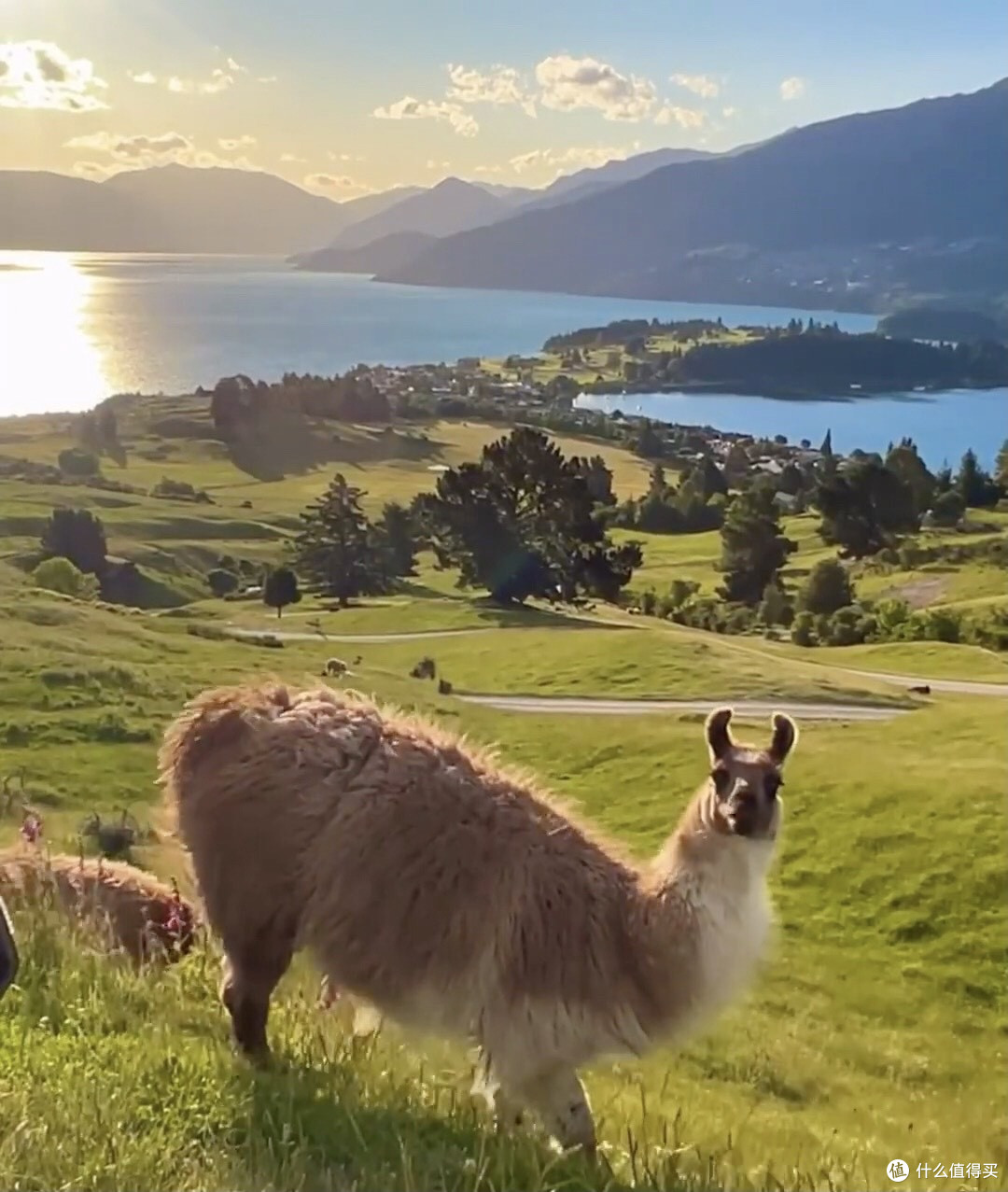 工商小知识，大智慧！
