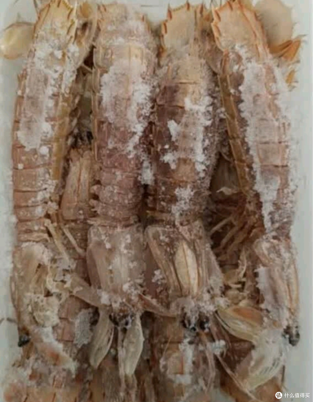 网购皮皮虾:一场“重量游戏”背后的消费陷阱