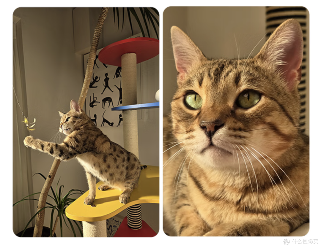 直屏爱好者的不二之选！三星S25+给你不一样的体验！