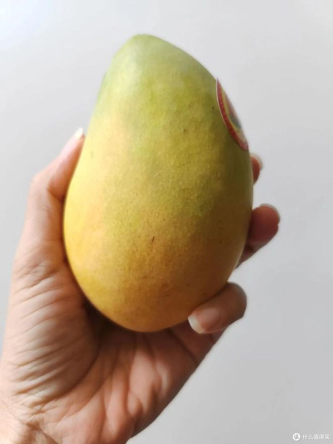 海南芒果哪个品种最好吃?快来看看你吃过哪种?