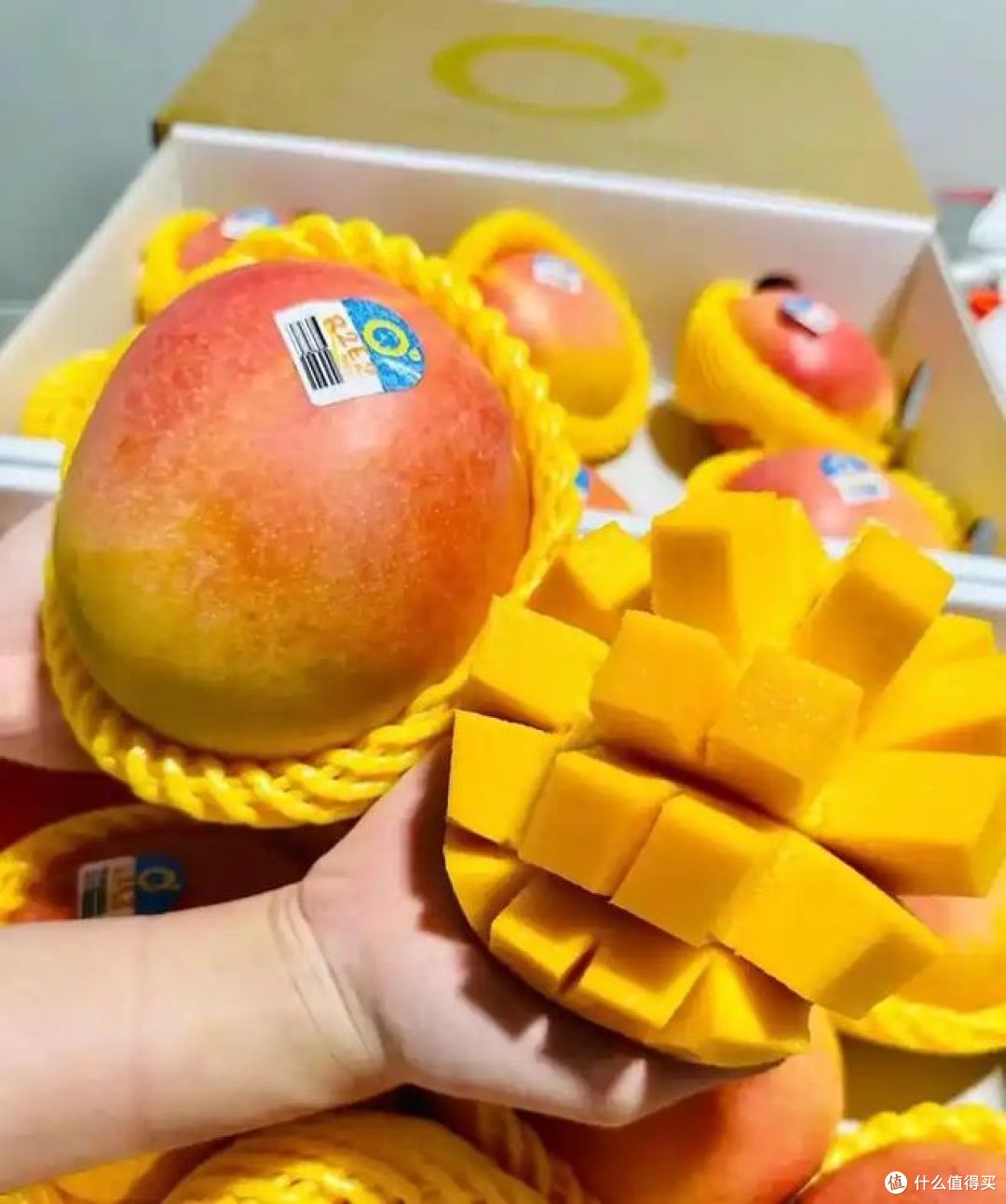海南芒果哪个品种最好吃?快来看看你吃过哪种?