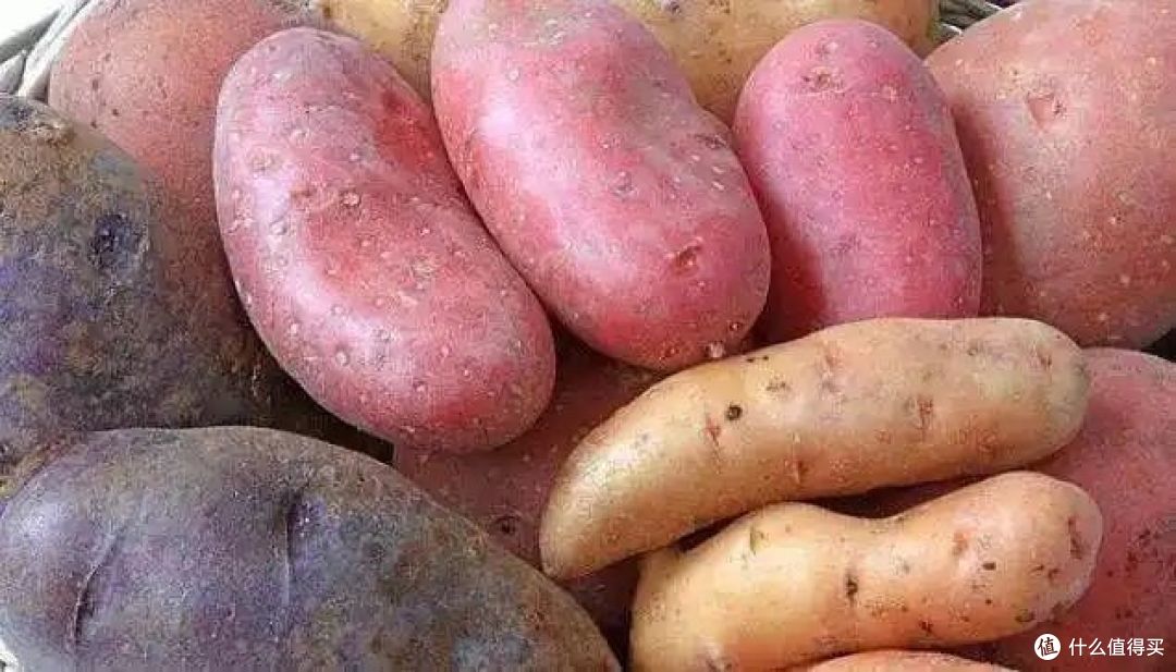 高原红土豆和普通土豆的区别？哪种软糯好吃？