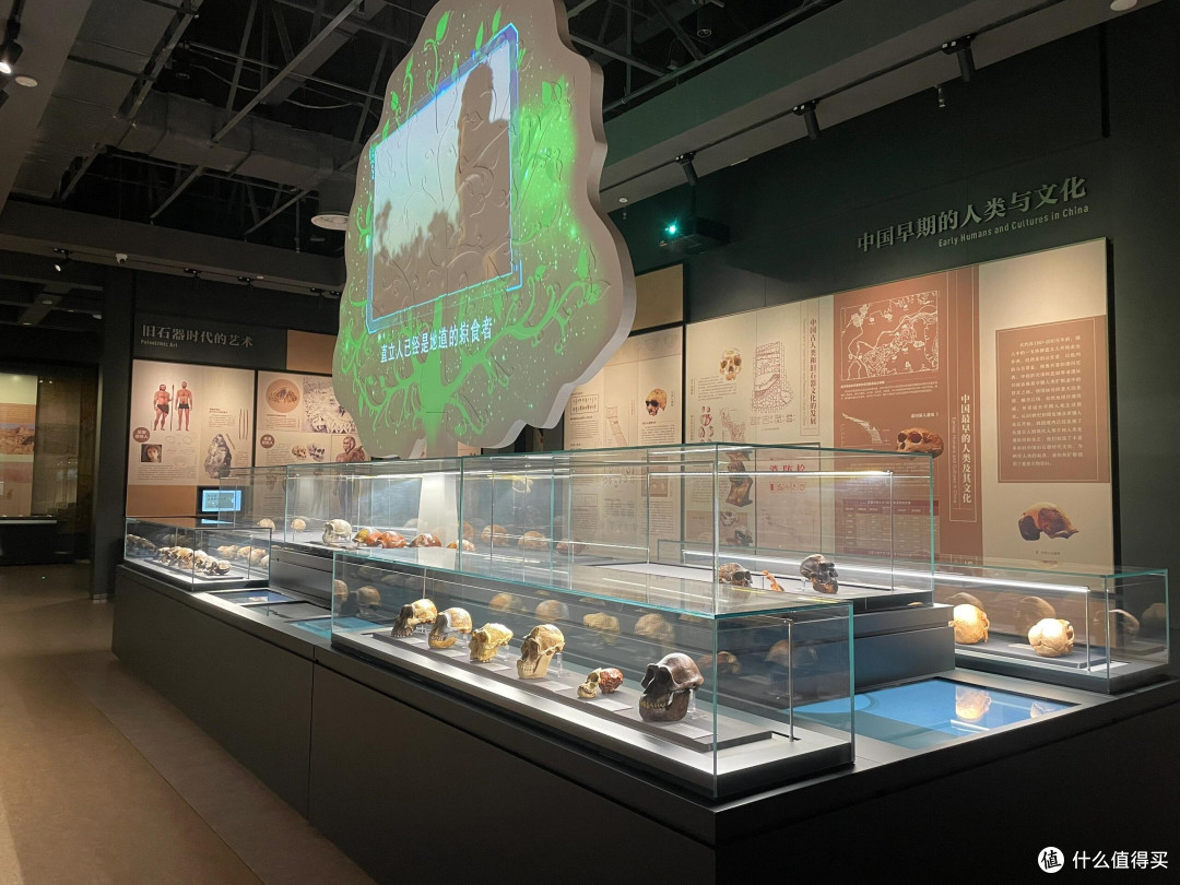去郑州旅行,不要错过这个小众冷门博物馆(附详细逛展攻略)
