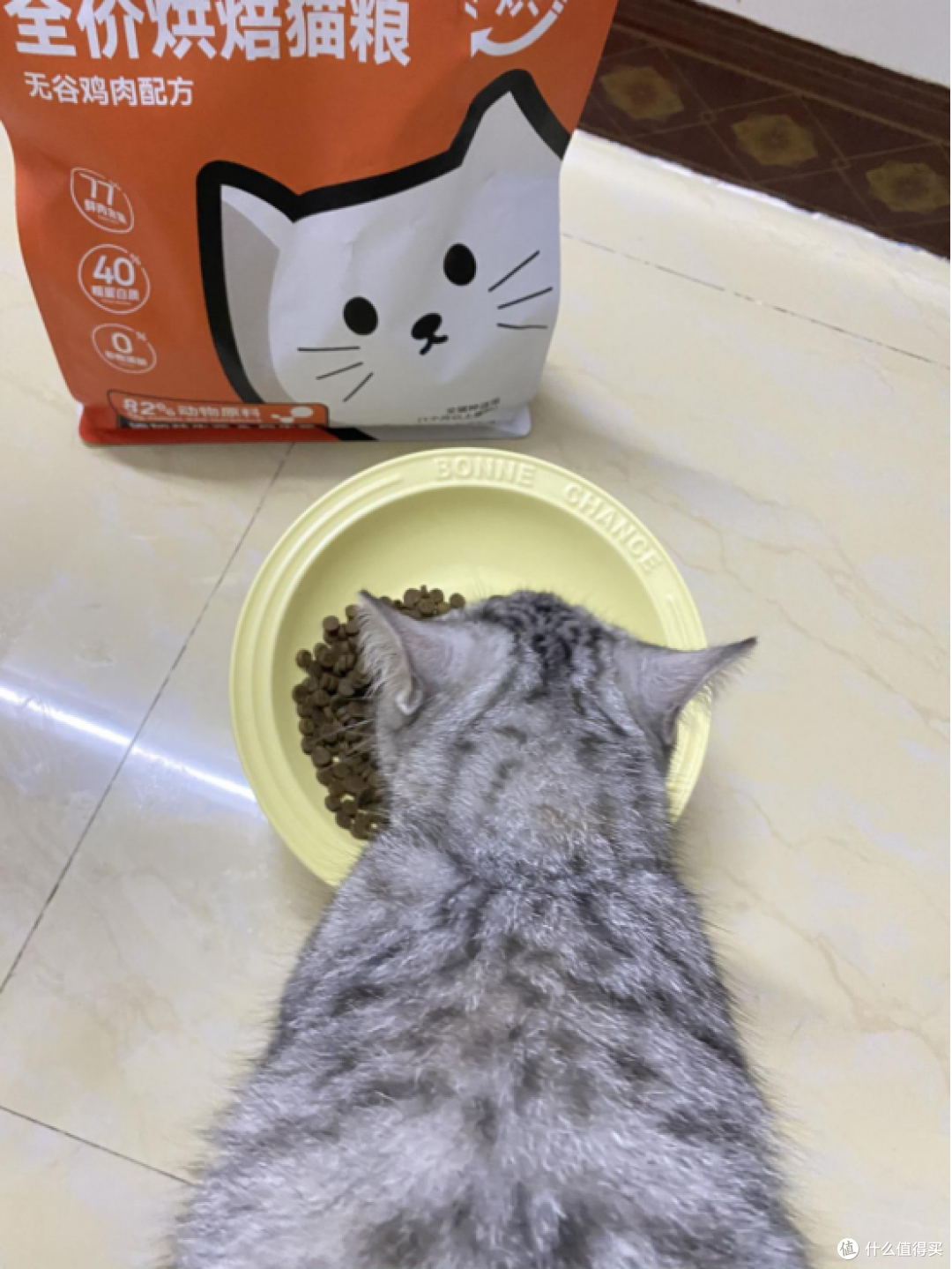 有没有便宜又好的猫粮推荐?希喂猫粮怎么样,全网最新喂养测评