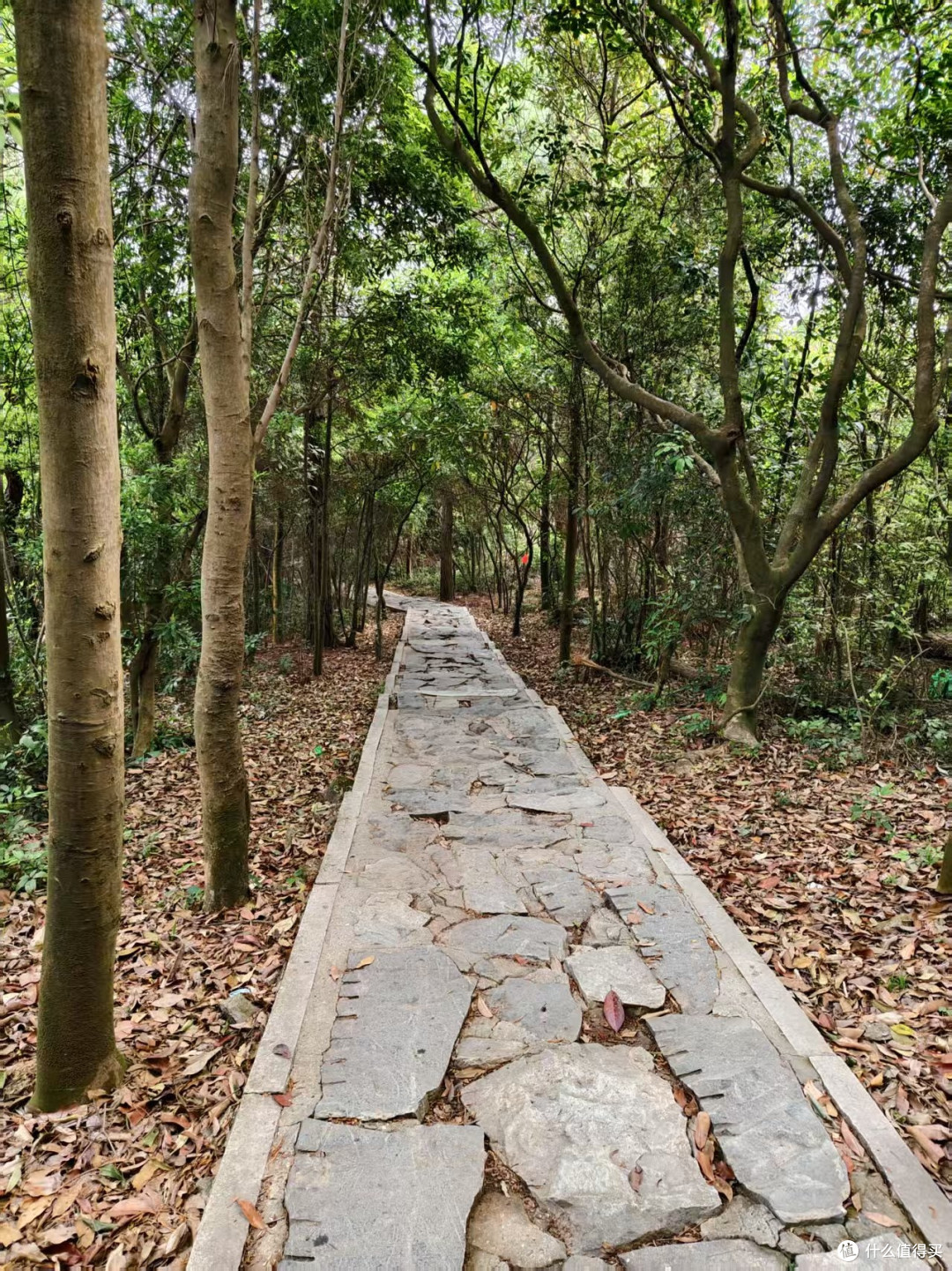 周末出游:城市周边景点推荐