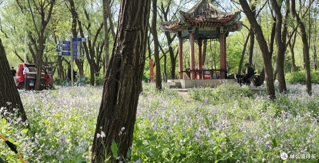 五大技巧助你拍出优秀大片