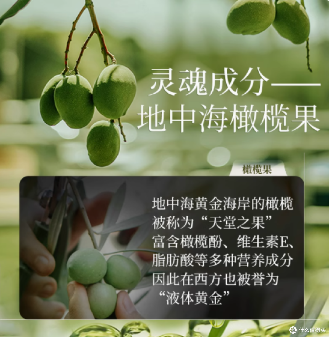 仙维娜橄榄丝滑营润护发素:干枯受损发丝的柔顺救星