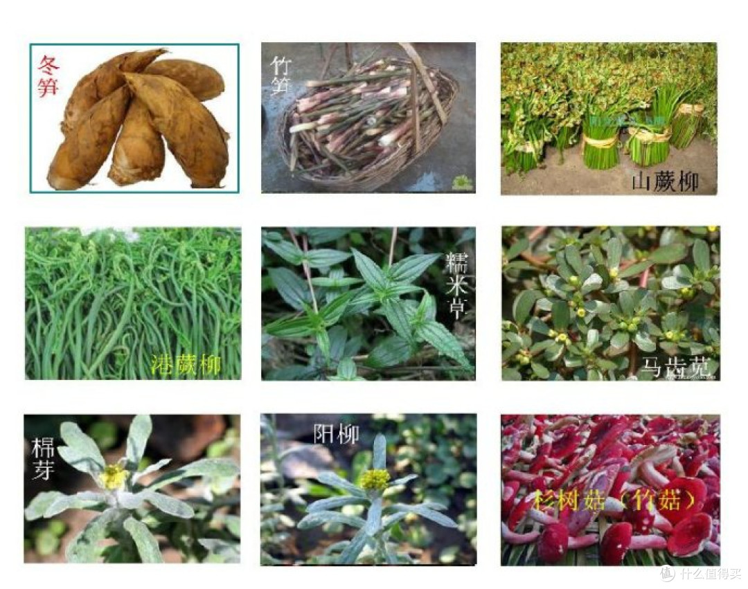 野菜逆袭史:从“忆苦饭”到餐桌顶流,这几种你肯定想不到