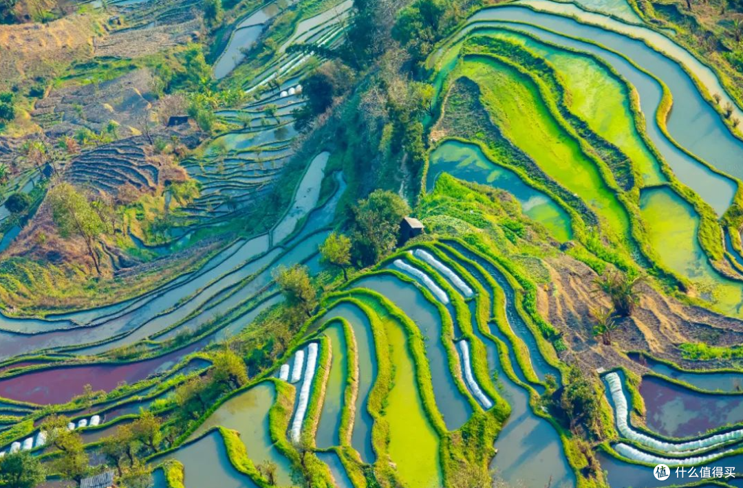被遗忘的时光:在红河州邂逅云南的慢生活