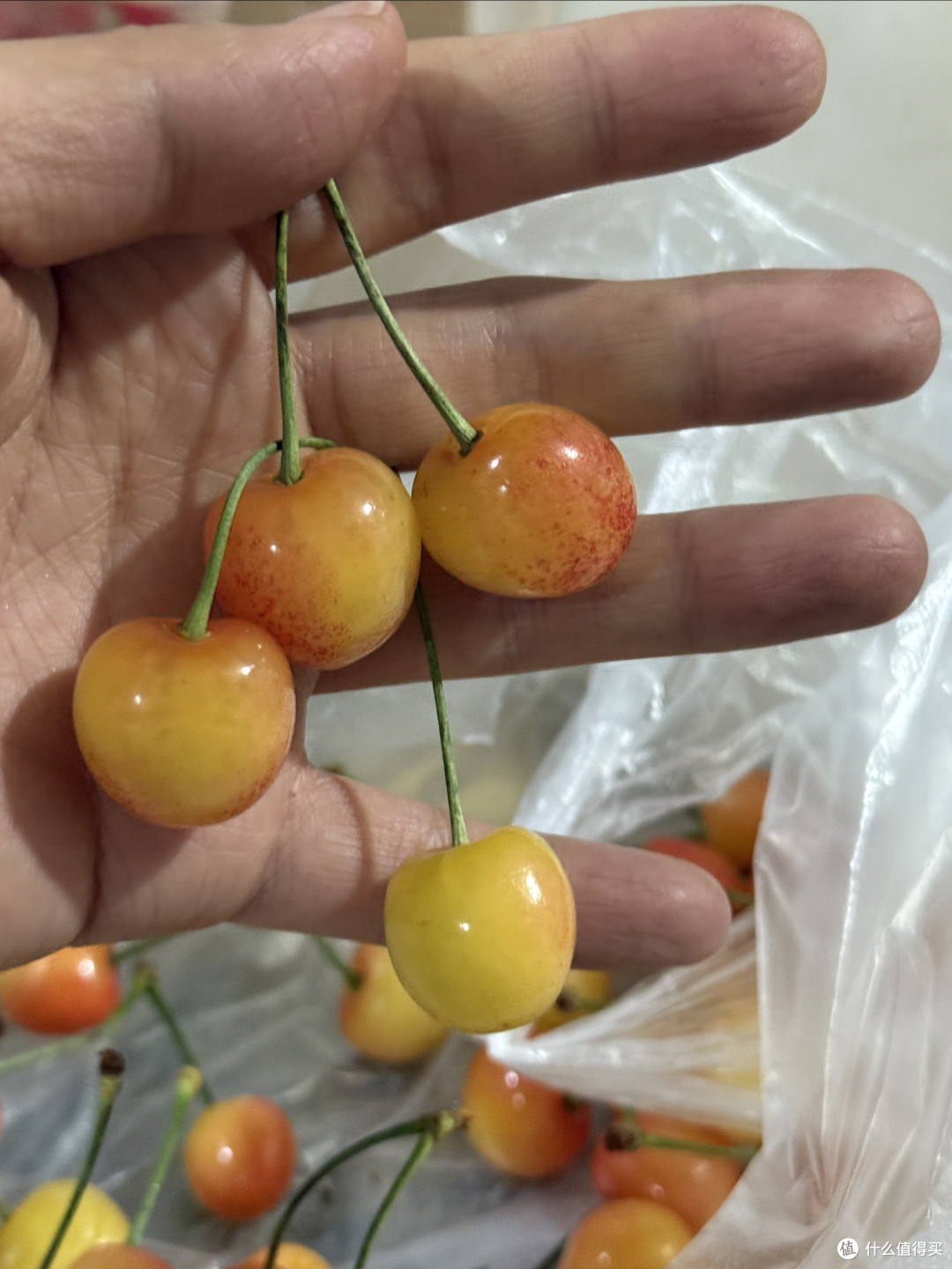 黄蜜樱桃网购:价格与质量的平衡