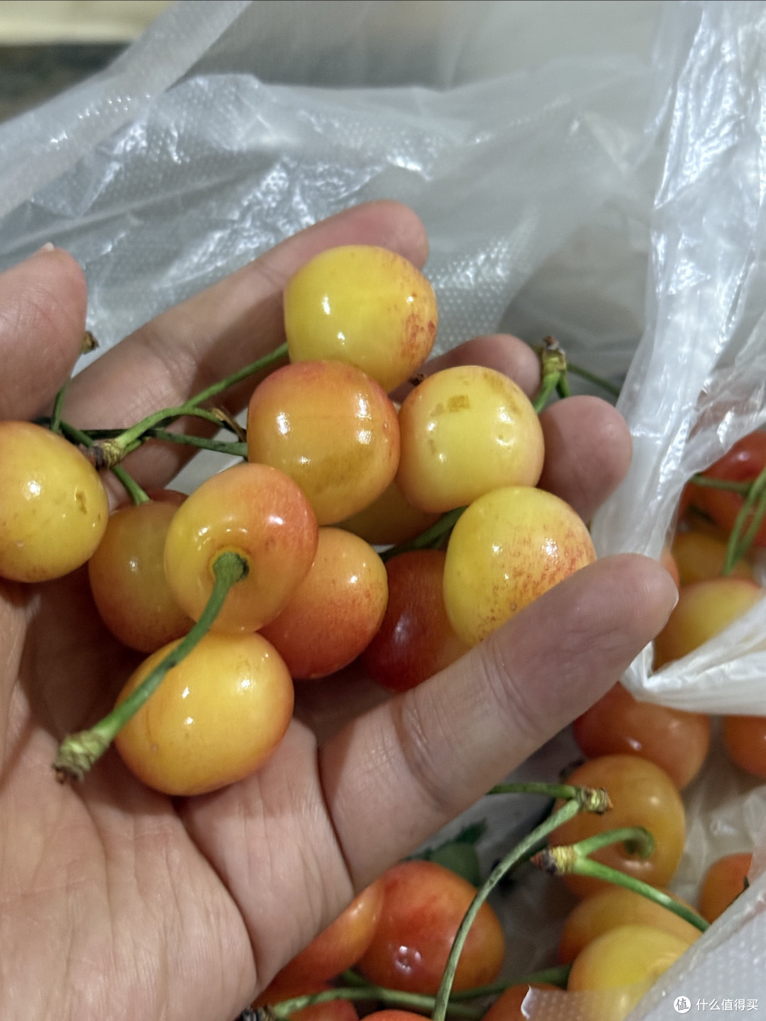 黄蜜樱桃网购:价格与质量的平衡