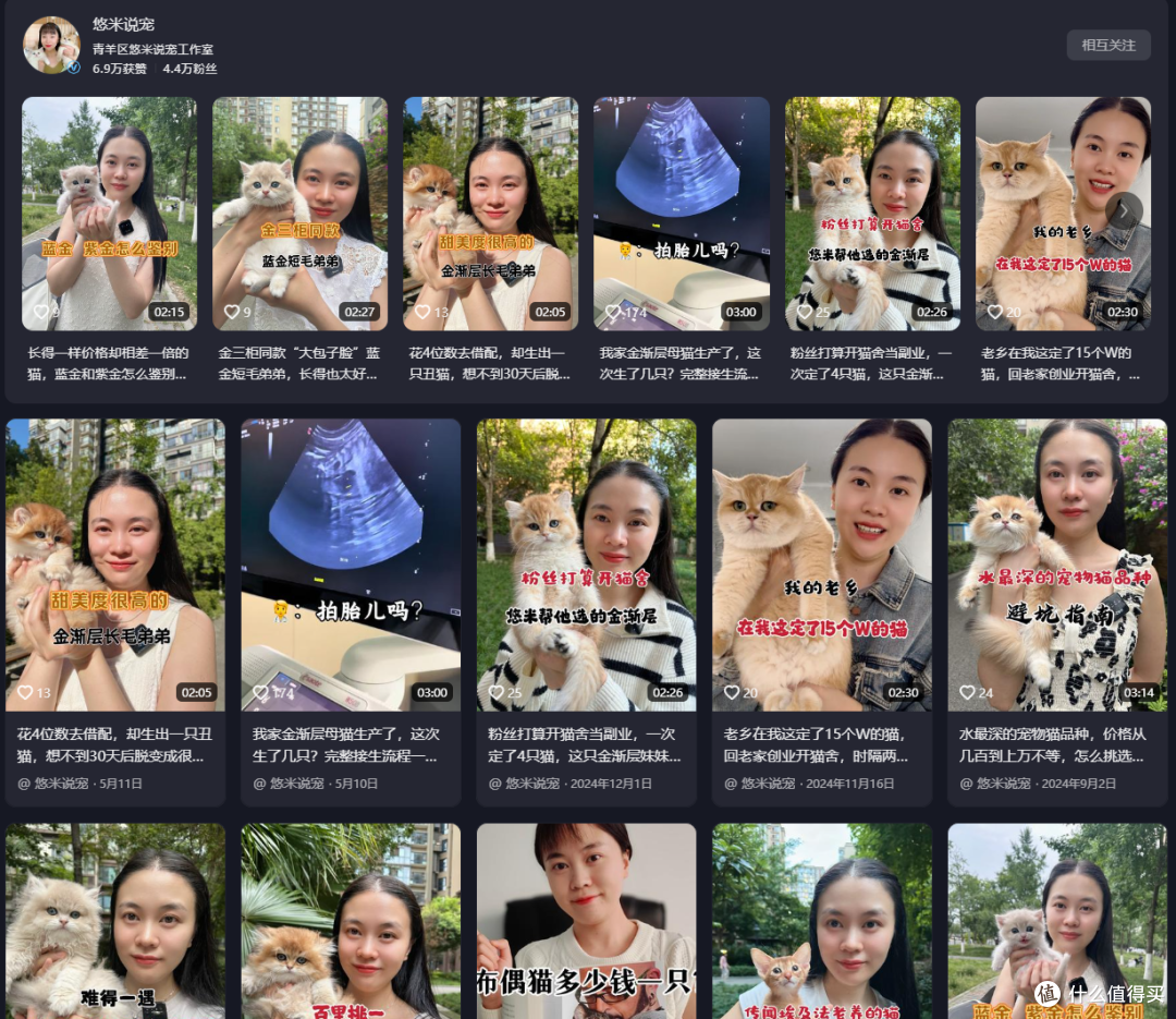 成都优质猫舍推荐 | 悠米说宠猫舍 - 专业繁育健康可爱猫咪